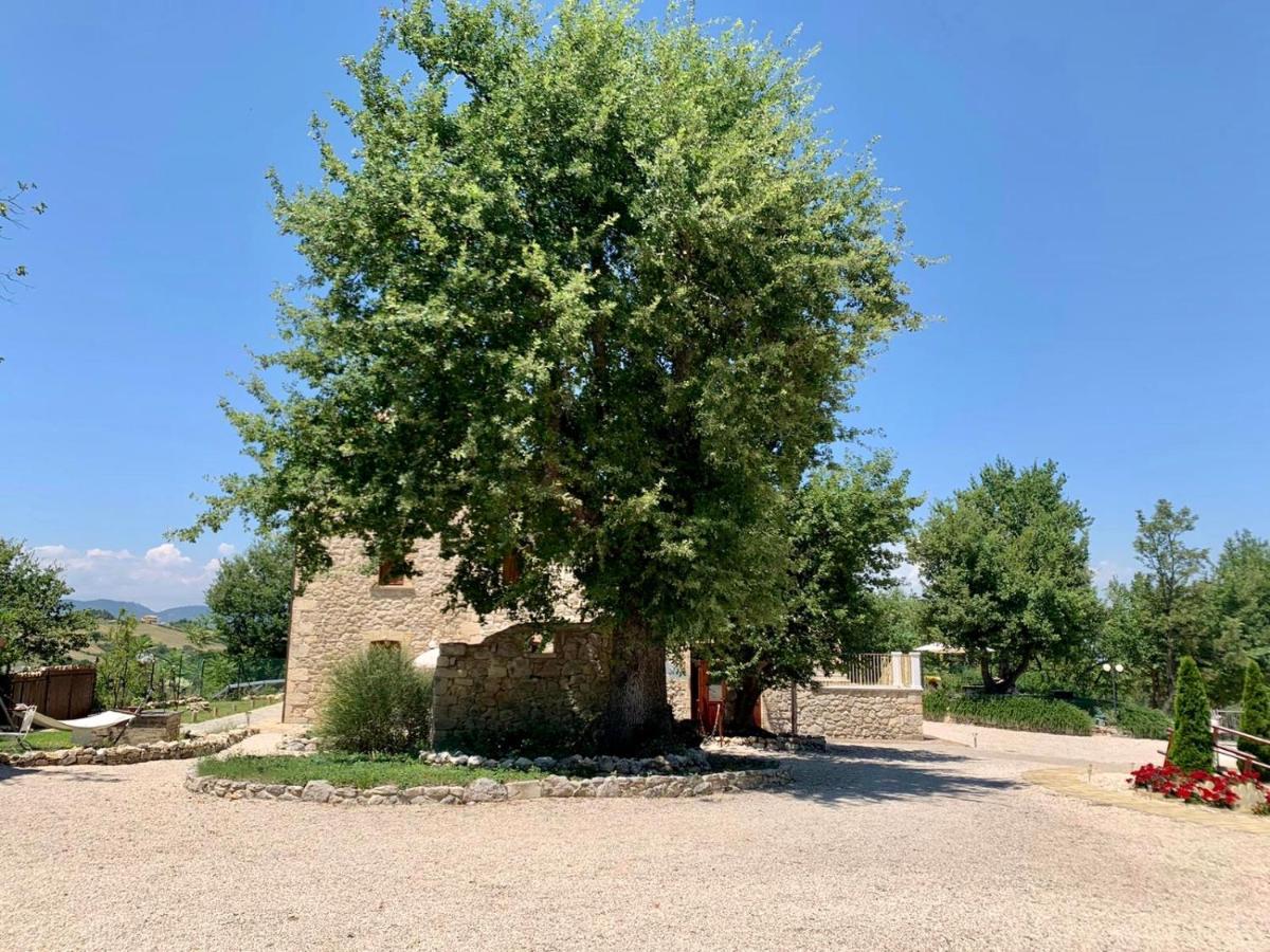 La Quercia B&B Abbateggio Bagian luar foto